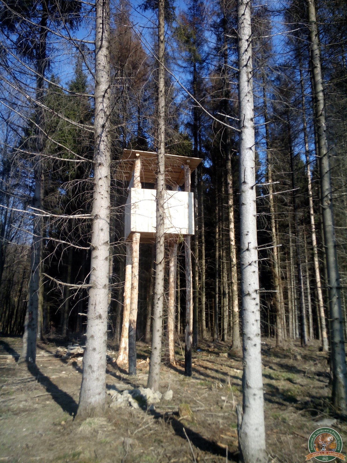 avps-lr-hunters-constructii-vanatoaresti-14