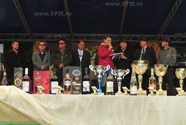 deschidere-festival1677