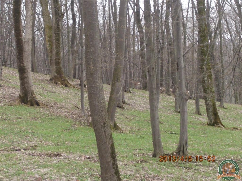 avps-lr-hunters-borosesti_11-48