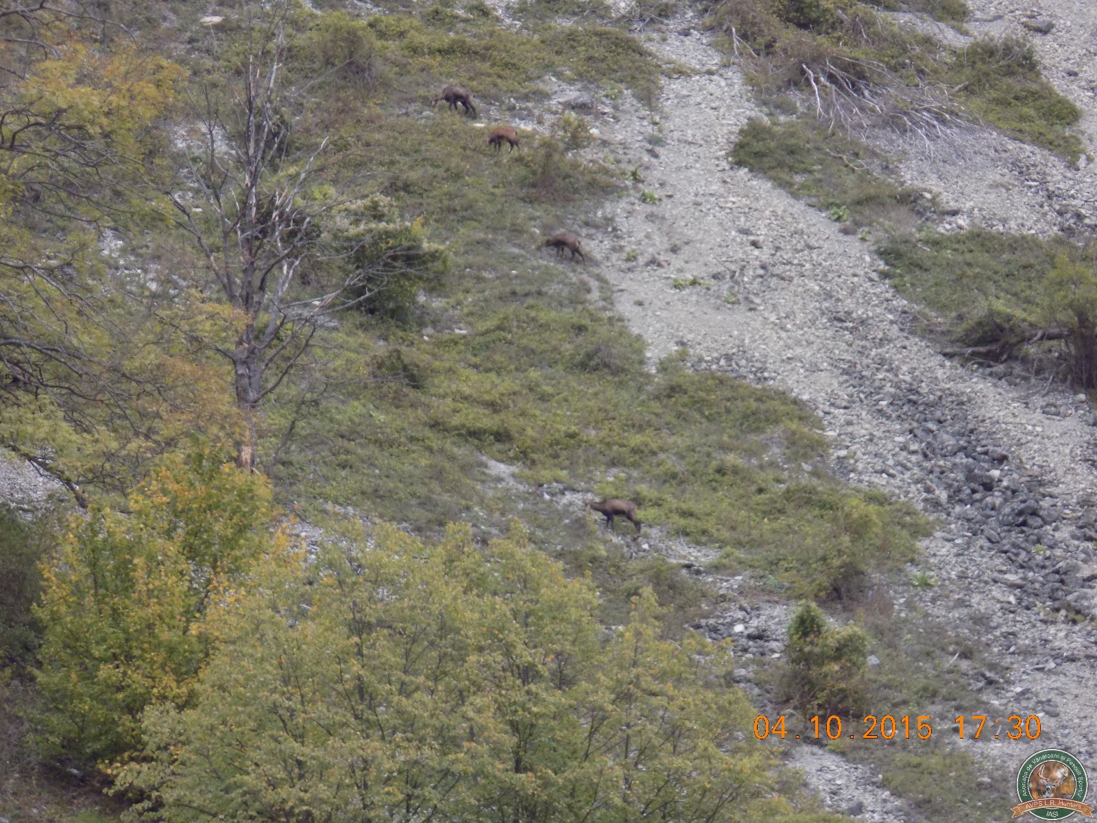 avps-lr-hunters-lepsa_20-57