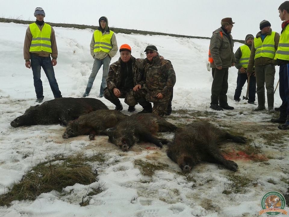 avps-lr-hunters-tibana_53-14