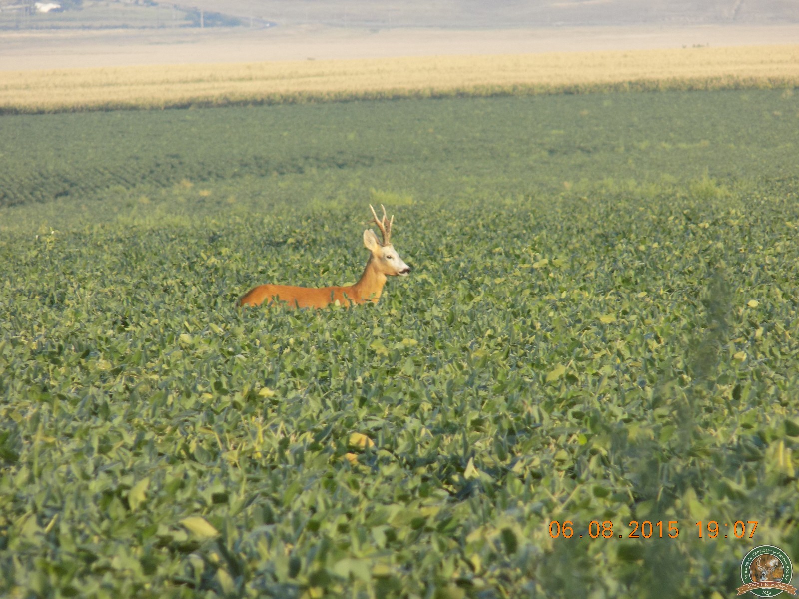 avps-lr-hunters-turia_22-7