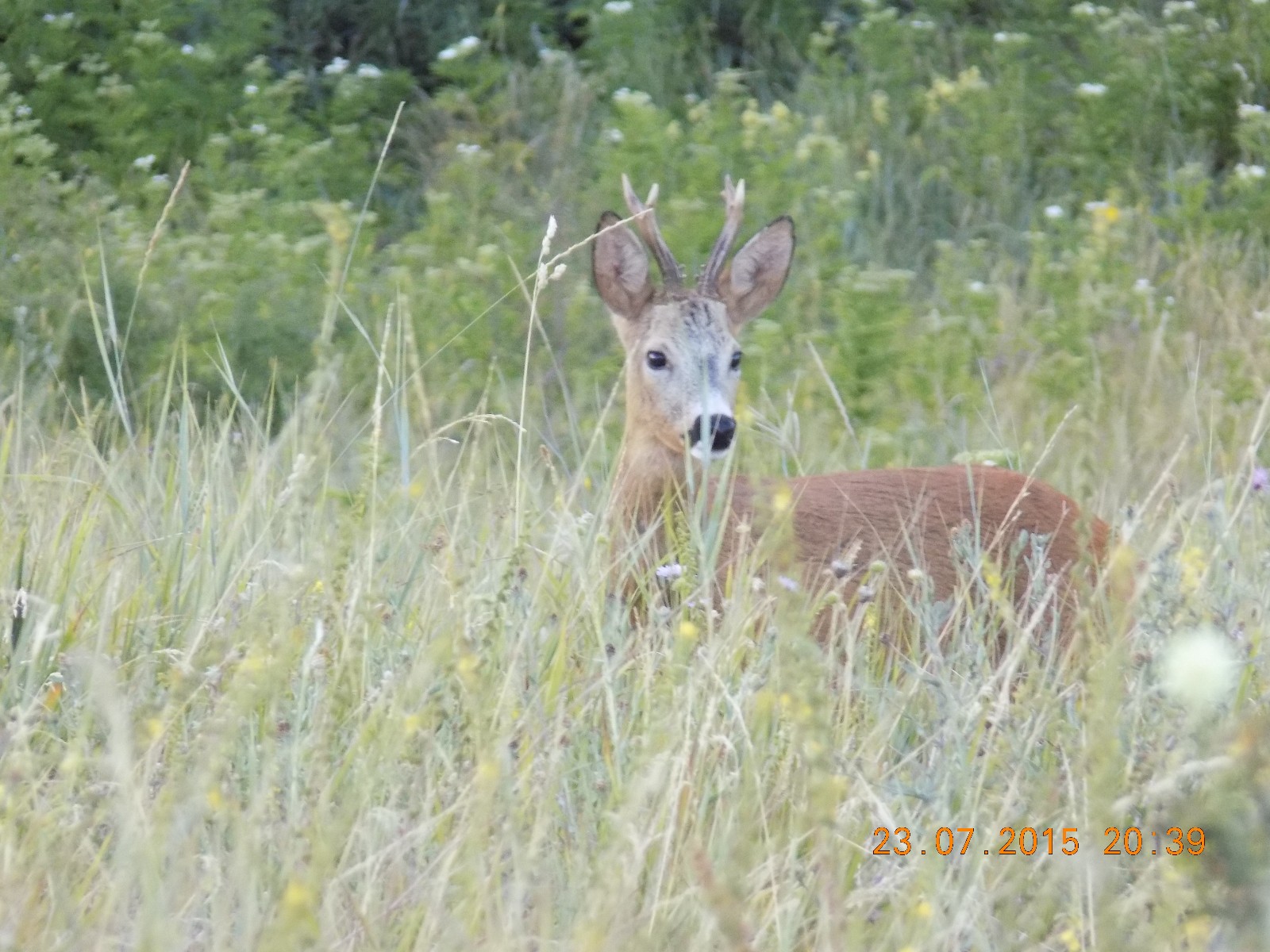 DSCN0377