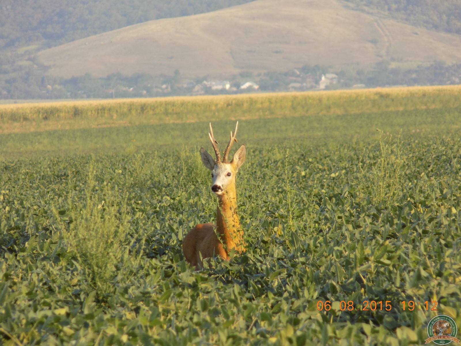 avps-lr-hunters-foto_cinegetic-12