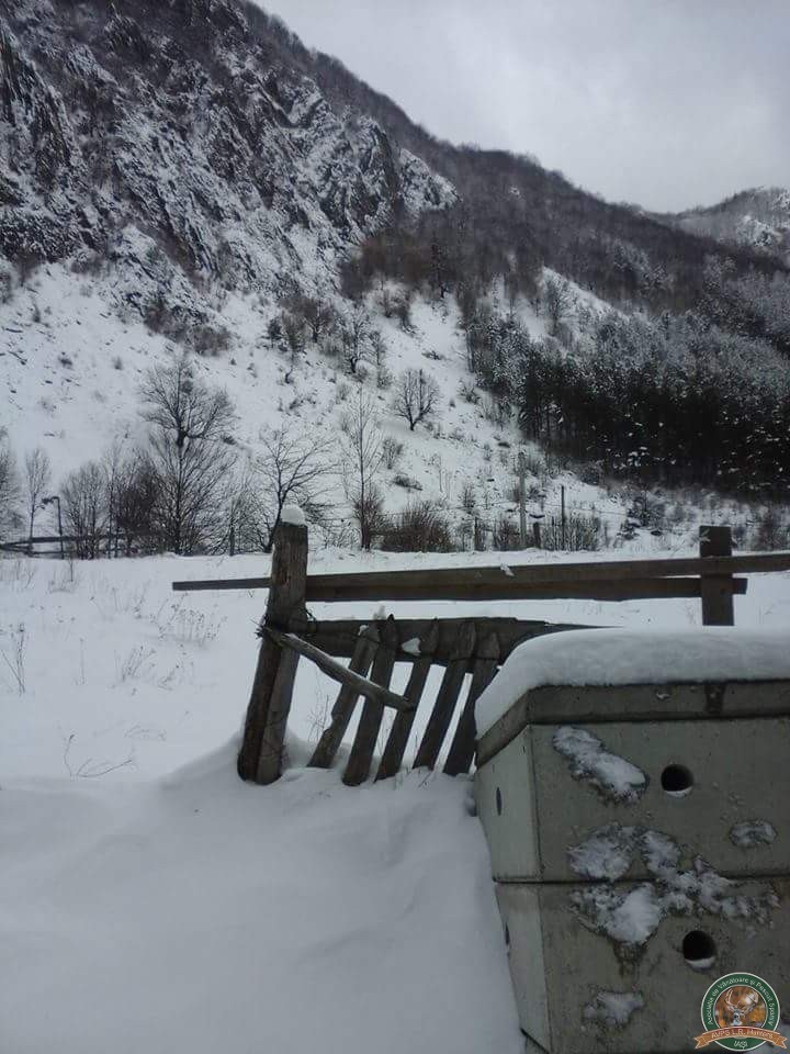 avps-lr-hunters-iarna-la-vanatoare-17