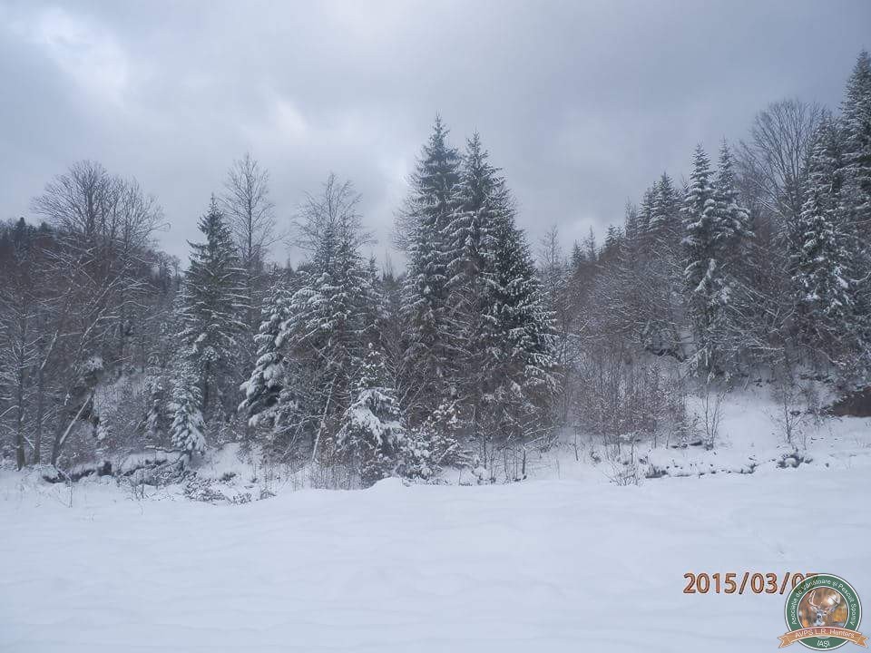 avps-lr-hunters-iarna-la-vanatoare-8