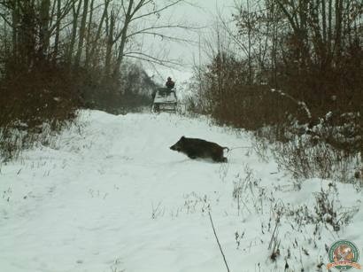 avps-lr-hunters-iarna_la_vanatoare-9