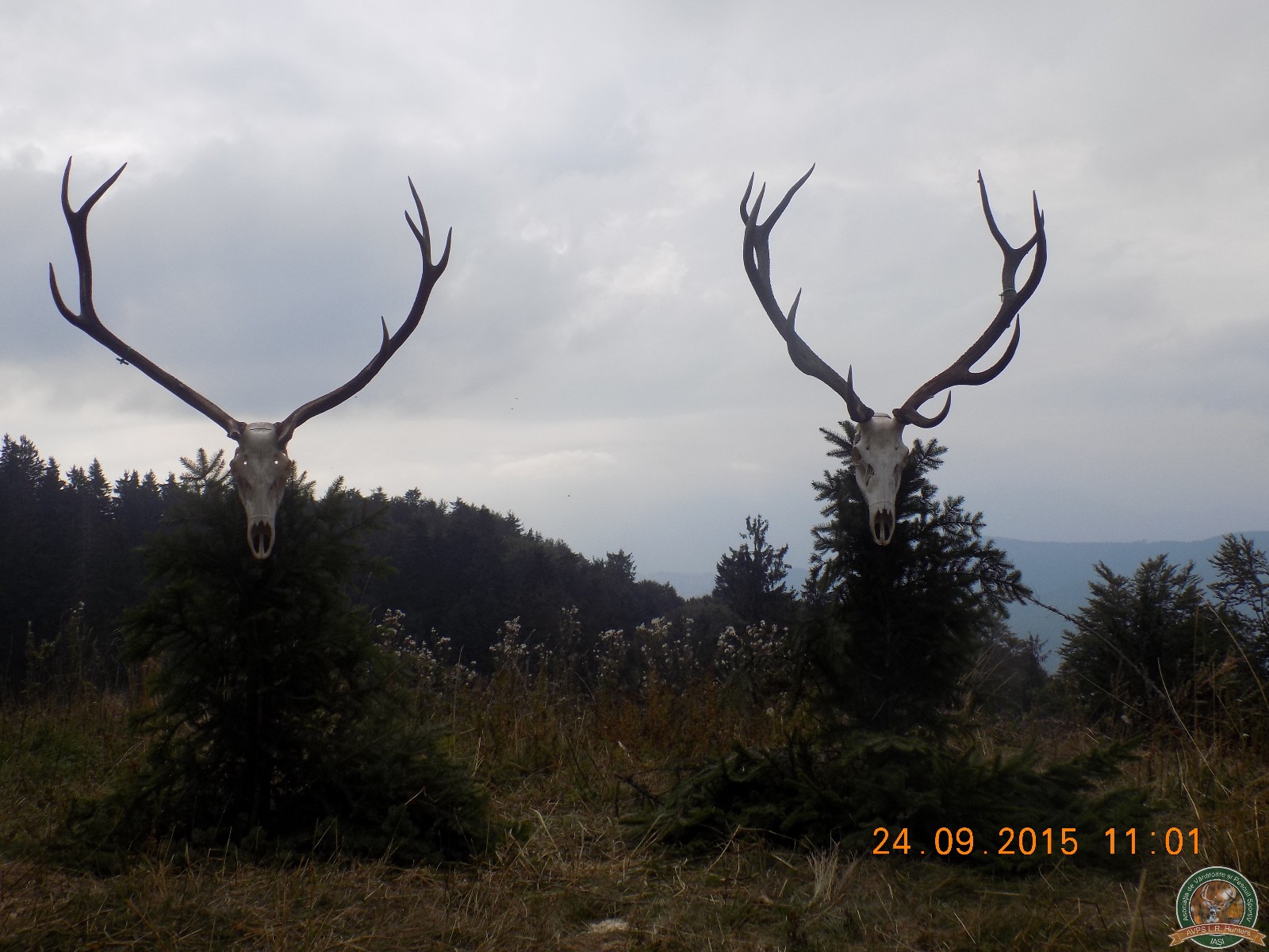 avps-lr-hunters-trofee-0