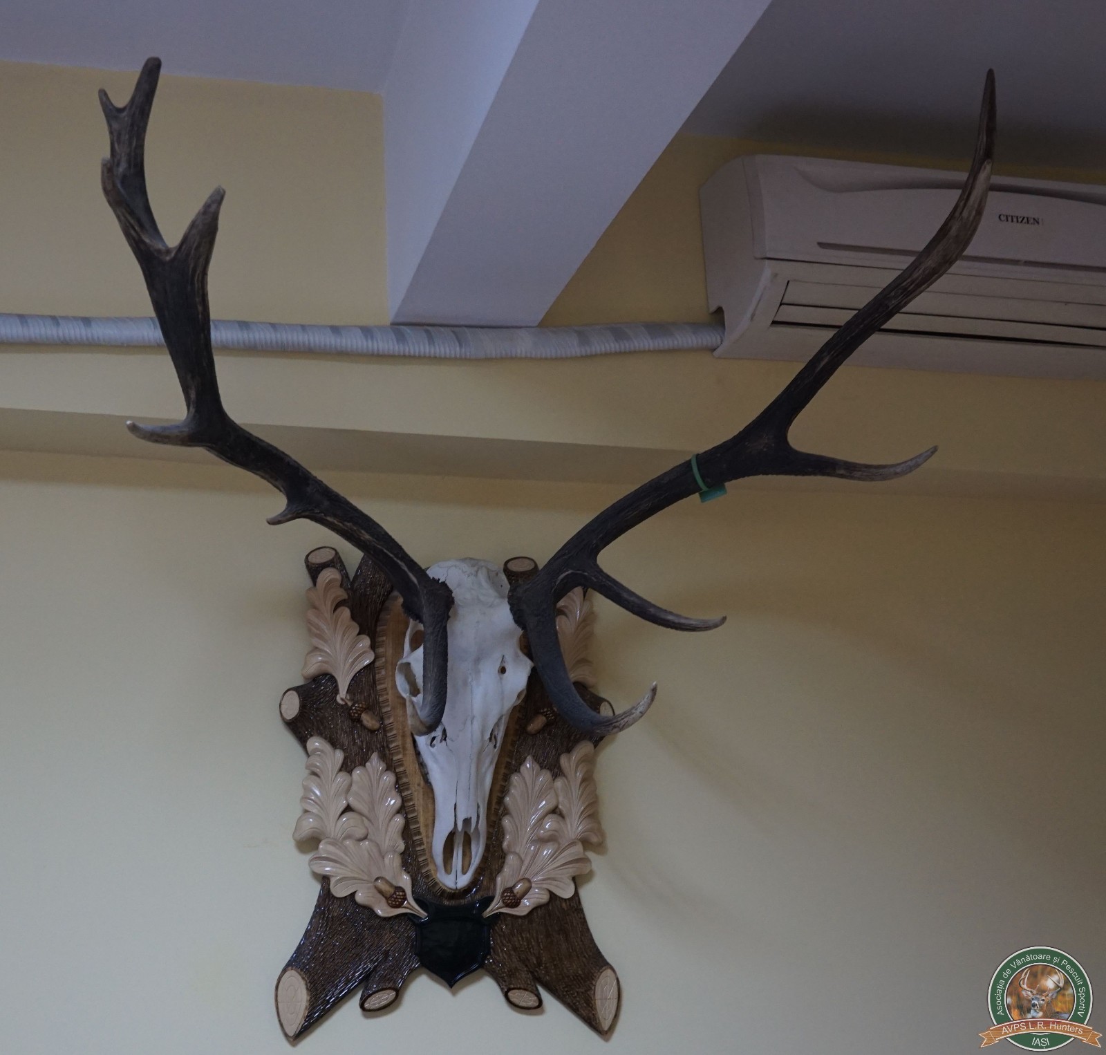 avps-lr-hunters-trofee-15