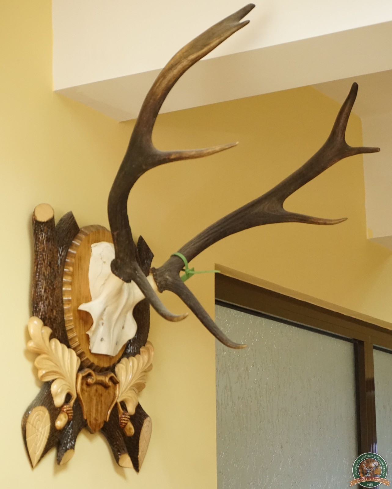 avps-lr-hunters-trofee-3